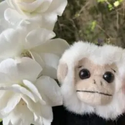 うさこさんのプロフィール写真