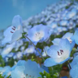 mariさんのプロフィール写真