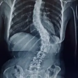 オシズ（40歳で手術したデザイナー）さんのプロフィール写真